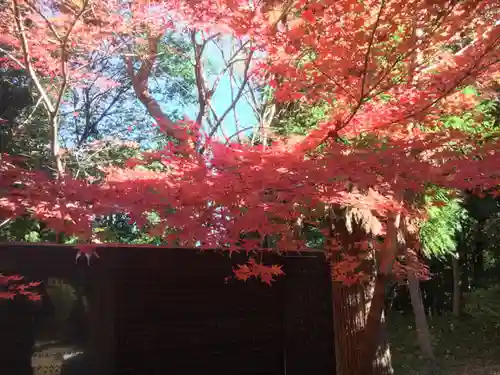 霞神社の自然