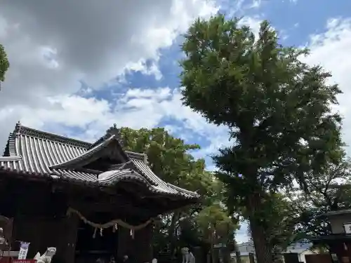 福島八幡宮(福岡県)