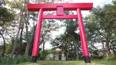 尾張猿田彦神社 奥宮の鳥居