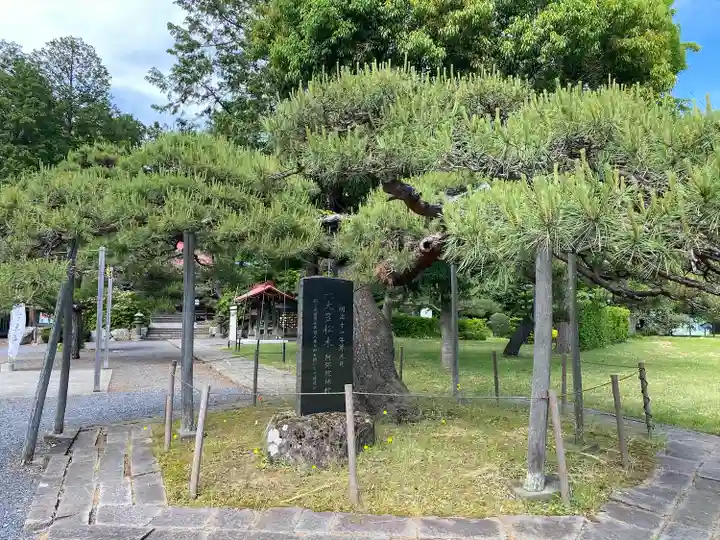 月岡神社の自然