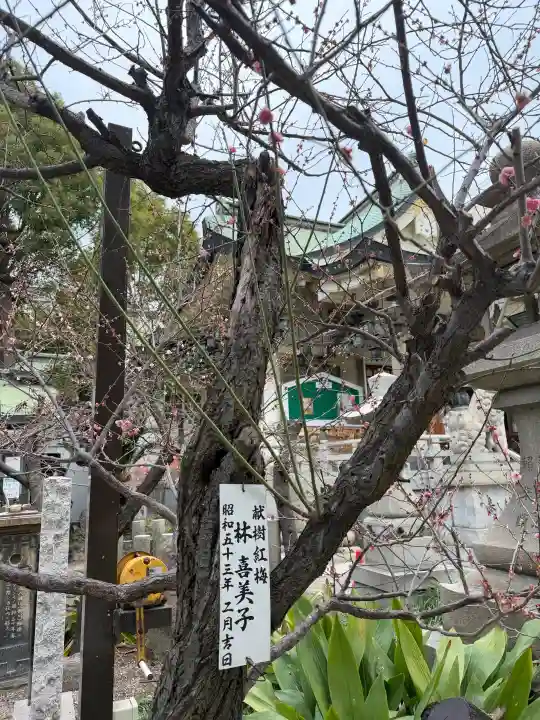 難波八阪神社の{uncategorized: "未分類", other: "その他", undefined: "問題あり", building: "その他建物", grave: "お墓", sacred_gate: "鳥居", guardian: "狛犬", statue: "像", buddha: "仏像", history: "歴史", nature: "自然", garden: "庭園", animal: "動物", pagoda: "塔", temizu: "手水舎", mountain_gate: "山門・神門", sanctuary: "本殿・本堂", subordinate: "末社・摂社", art: "芸術", scenery: "景色", jizo: "地蔵", ema: "絵馬", goshuin: "御朱印", omikuji: "おみくじ", items: "授与品その他", amulet: "お守り", goshuincho: "御朱印帳", eats: "食事", festival: "お祭り", votive_dance: "神楽", shichigosan: "七五三参", wedding: "結婚式", experience: "体験その他", initially: "初詣", around: "周辺", anti_infection: "感染症対策"}