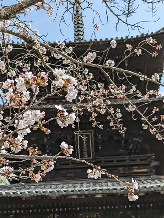 くろ谷 金戒光明寺(京都府)