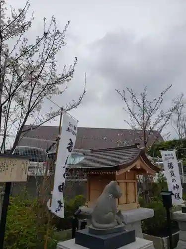駒込妙義神社(東京都)