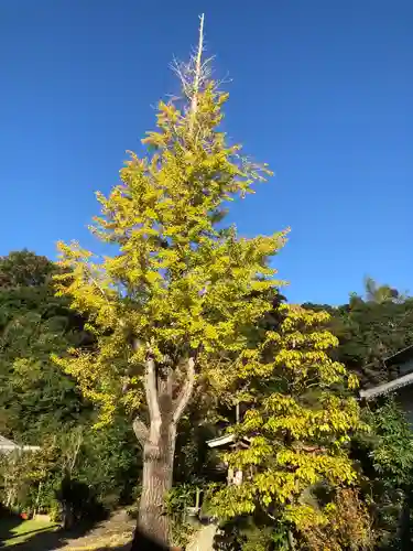 寳林寺(愛知県)