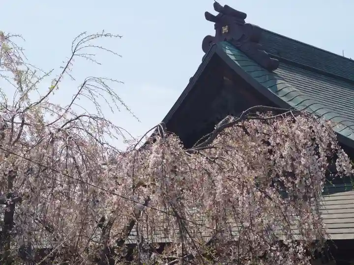 妙福寺(神奈川県)