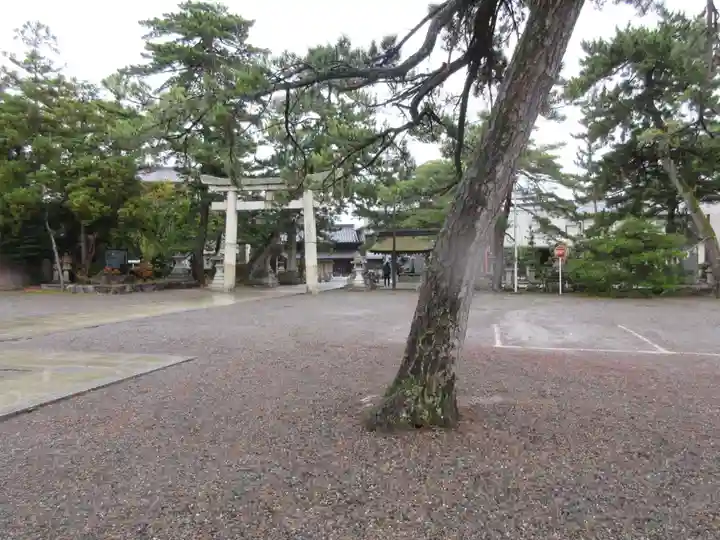 長浜八幡宮の庭園