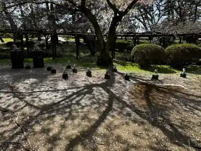 出雲大社(島根県)