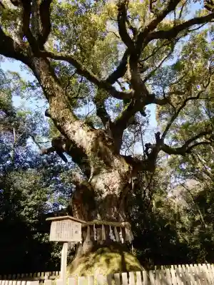 熱田神宮の{uncategorized: "未分類", other: "その他", undefined: "問題あり", building: "その他建物", grave: "お墓", sacred_gate: "鳥居", guardian: "狛犬", statue: "像", buddha: "仏像", history: "歴史", nature: "自然", garden: "庭園", animal: "動物", pagoda: "塔", temizu: "手水舎", mountain_gate: "山門・神門", sanctuary: "本殿・本堂", subordinate: "末社・摂社", art: "芸術", scenery: "景色", jizo: "地蔵", ema: "絵馬", goshuin: "御朱印", omikuji: "おみくじ", items: "授与品その他", amulet: "お守り", goshuincho: "御朱印帳", eats: "食事", festival: "お祭り", votive_dance: "神楽", shichigosan: "七五三参", wedding: "結婚式", experience: "体験その他", initially: "初詣", around: "周辺", anti_infection: "感染症対策"}