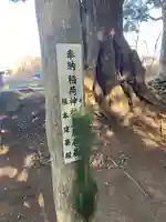 塙神社の自然