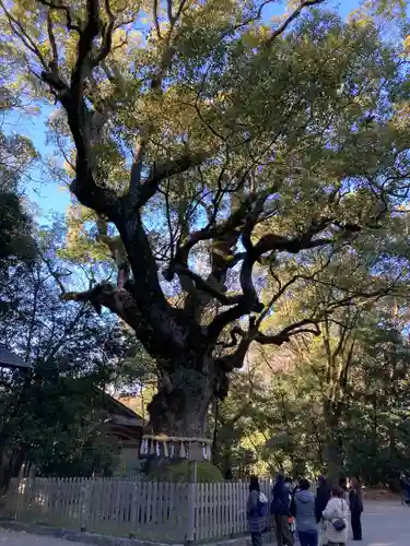 熱田神宮(愛知県)