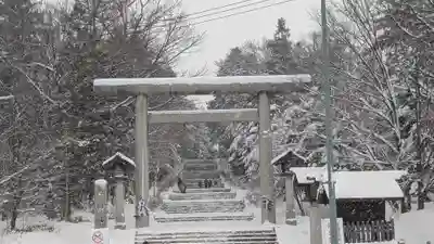 上川神社の初詣