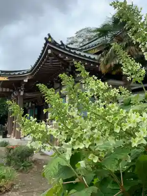 慈眼寺の本殿・本堂