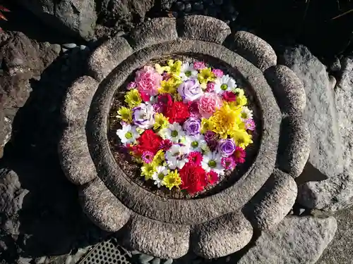 埼玉厄除け開運大師・龍泉寺（切り絵御朱印発祥の寺）の手水