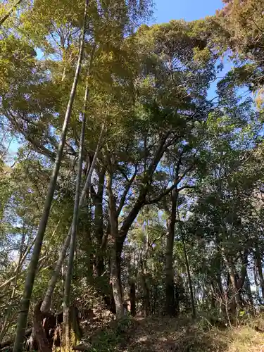 八坂神社の自然