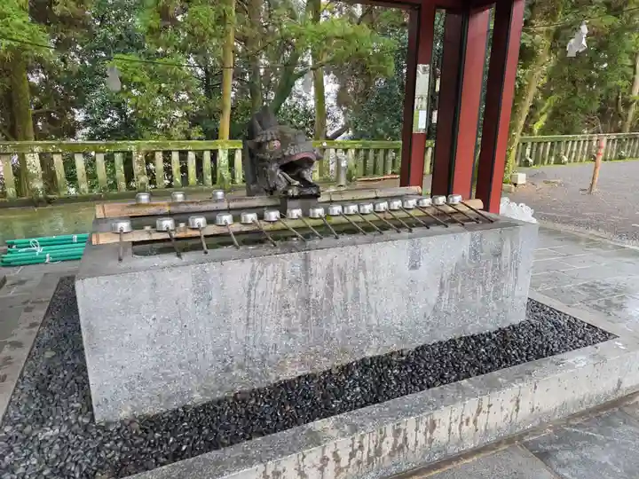 鹿児島神宮(鹿児島県)