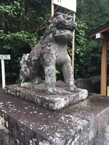 鶴岡八幡宮の狛犬