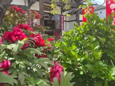 成田山函館別院函館寺(北海道)