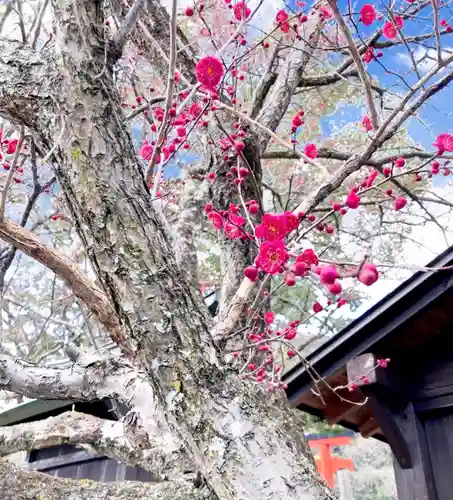 瀧宮神社(広島県)