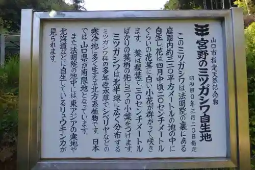 法明院(山口県)