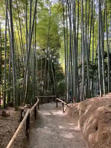 高台寺（高台寿聖禅寺・高臺寺）(京都府)