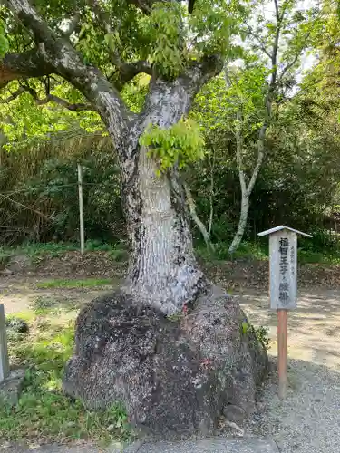 大年神社(宮崎県)