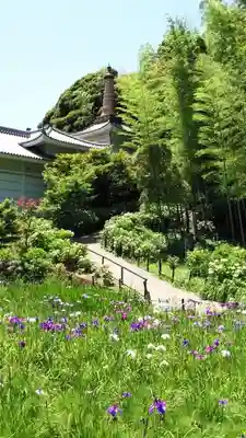 本土寺のその他建物