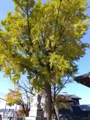 板垣神社(福井県)