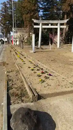 天満神社の鳥居