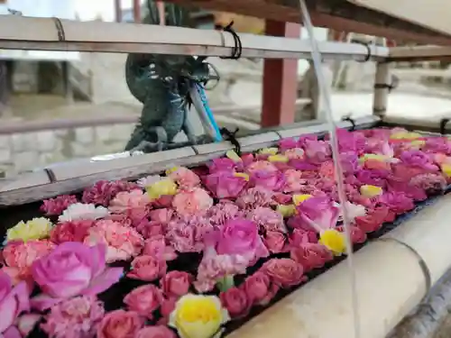 津島神社の手水舎