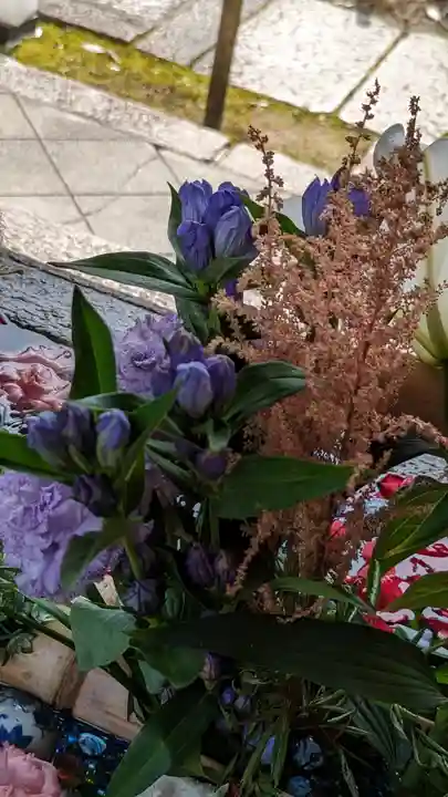 勝林寺(京都府)