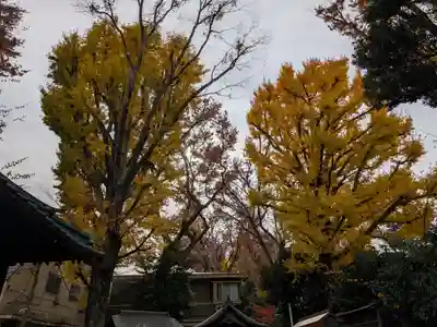 戸越八幡神社(東京都)