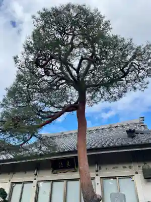 大法寺(東京都)