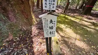 若狭彦神社（上社）(福井県)