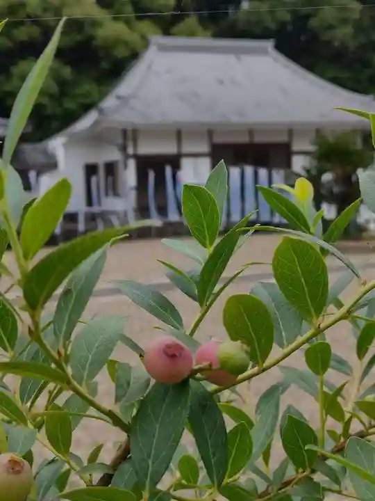 全忠寺(愛知県)