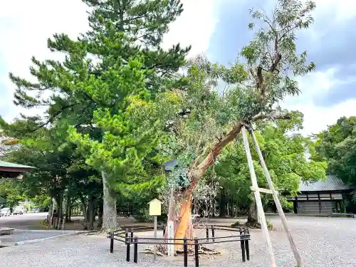 氣比神宮の自然