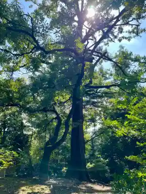 金毘羅神社(東京都)