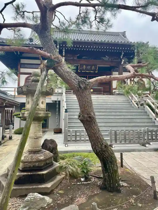 来迎寺の{uncategorized: "未分類", other: "その他", undefined: "問題あり", building: "その他建物", grave: "お墓", sacred_gate: "鳥居", guardian: "狛犬", statue: "像", buddha: "仏像", history: "歴史", nature: "自然", garden: "庭園", animal: "動物", pagoda: "塔", temizu: "手水舎", mountain_gate: "山門・神門", sanctuary: "本殿・本堂", subordinate: "末社・摂社", art: "芸術", scenery: "景色", jizo: "地蔵", ema: "絵馬", goshuin: "御朱印", omikuji: "おみくじ", items: "授与品その他", amulet: "お守り", goshuincho: "御朱印帳", eats: "食事", festival: "お祭り", votive_dance: "神楽", shichigosan: "七五三参", wedding: "結婚式", experience: "体験その他", initially: "初詣", around: "周辺", anti_infection: "感染症対策"}