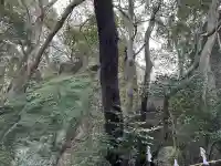 立石神社の{uncategorized: "未分類", other: "その他", undefined: "問題あり", building: "その他建物", grave: "お墓", sacred_gate: "鳥居", guardian: "狛犬", statue: "像", buddha: "仏像", history: "歴史", nature: "自然", garden: "庭園", animal: "動物", pagoda: "塔", temizu: "手水舎", mountain_gate: "山門・神門", sanctuary: "本殿・本堂", subordinate: "末社・摂社", art: "芸術", scenery: "景色", jizo: "地蔵", ema: "絵馬", goshuin: "御朱印", omikuji: "おみくじ", items: "授与品その他", amulet: "お守り", goshuincho: "御朱印帳", eats: "食事", festival: "お祭り", votive_dance: "神楽", shichigosan: "七五三参", wedding: "結婚式", experience: "体験その他", initially: "初詣", around: "周辺", anti_infection: "感染症対策"}