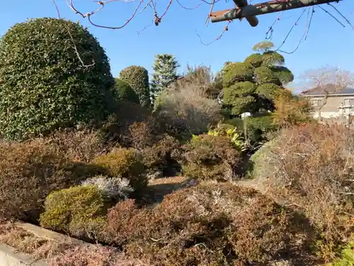 長善寺の庭園