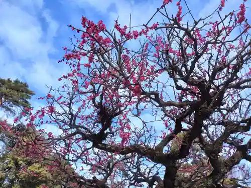 布多天神社(東京都)