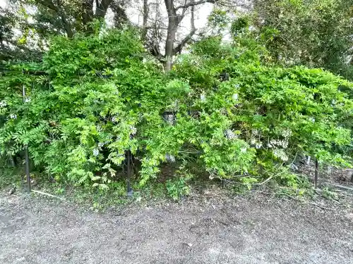 太巌寺（ふじの寺）(三重県)