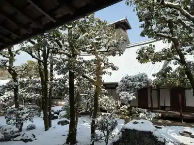 三宝院（三宝院門跡）の{uncategorized: "未分類", other: "その他", undefined: "問題あり", building: "その他建物", grave: "お墓", sacred_gate: "鳥居", guardian: "狛犬", statue: "像", buddha: "仏像", history: "歴史", nature: "自然", garden: "庭園", animal: "動物", pagoda: "塔", temizu: "手水舎", mountain_gate: "山門・神門", sanctuary: "本殿・本堂", subordinate: "末社・摂社", art: "芸術", scenery: "景色", jizo: "地蔵", ema: "絵馬", goshuin: "御朱印", omikuji: "おみくじ", items: "授与品その他", amulet: "お守り", goshuincho: "御朱印帳", eats: "食事", festival: "お祭り", votive_dance: "神楽", shichigosan: "七五三参", wedding: "結婚式", experience: "体験その他", initially: "初詣", around: "周辺", anti_infection: "感染症対策"}