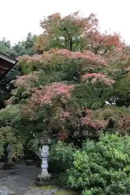 岩之上堂のその他建物