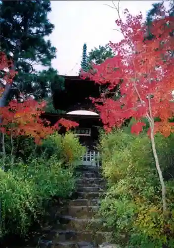 常寂光寺の塔