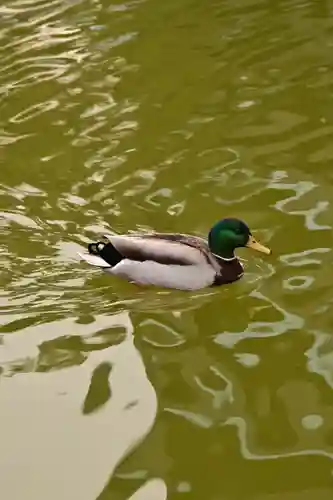 住吉神社(福岡県)