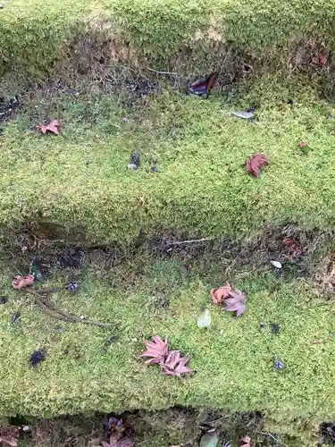 金剛城寺のその他建物