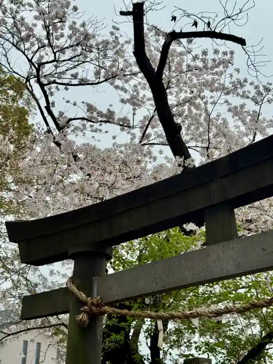 和田稲荷神社の{uncategorized: "未分類", other: "その他", undefined: "問題あり", building: "その他建物", grave: "お墓", sacred_gate: "鳥居", guardian: "狛犬", statue: "像", buddha: "仏像", history: "歴史", nature: "自然", garden: "庭園", animal: "動物", pagoda: "塔", temizu: "手水舎", mountain_gate: "山門・神門", sanctuary: "本殿・本堂", subordinate: "末社・摂社", art: "芸術", scenery: "景色", jizo: "地蔵", ema: "絵馬", goshuin: "御朱印", omikuji: "おみくじ", items: "授与品その他", amulet: "お守り", goshuincho: "御朱印帳", eats: "食事", festival: "お祭り", votive_dance: "神楽", shichigosan: "七五三参", wedding: "結婚式", experience: "体験その他", initially: "初詣", around: "周辺", anti_infection: "感染症対策"}
