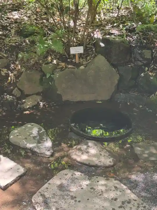 明治神宮(東京都)
