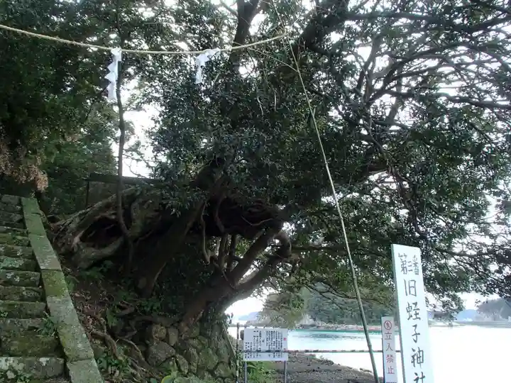 旧蛭子神社御旅所のその他建物