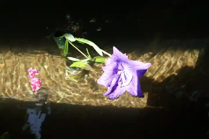 神藏寺の手水舎